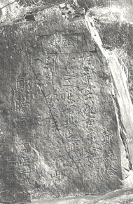 ġ ü